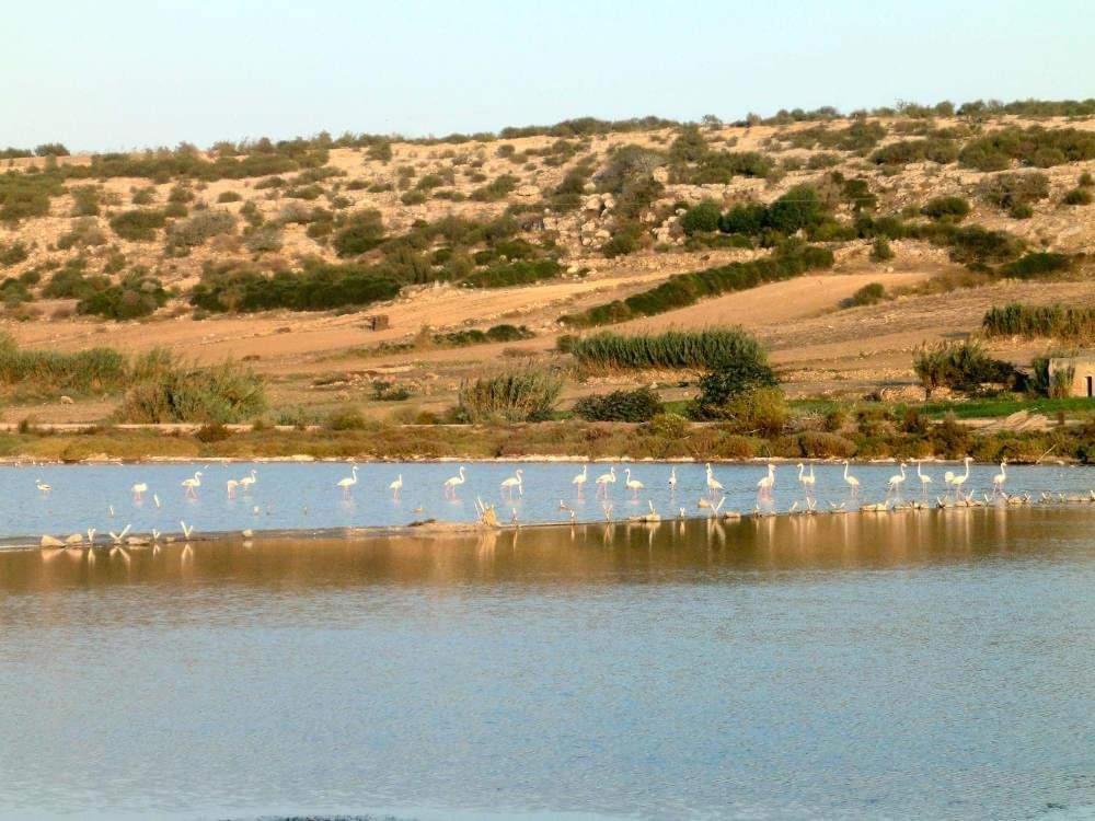 Dar Doukkala Oualidia Daire Dış mekan fotoğraf